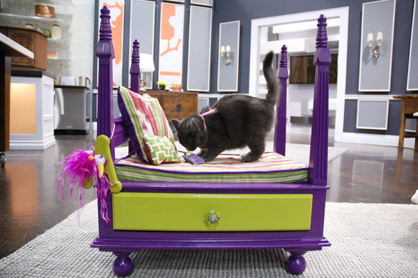 DIY Pet Beds End Tables
