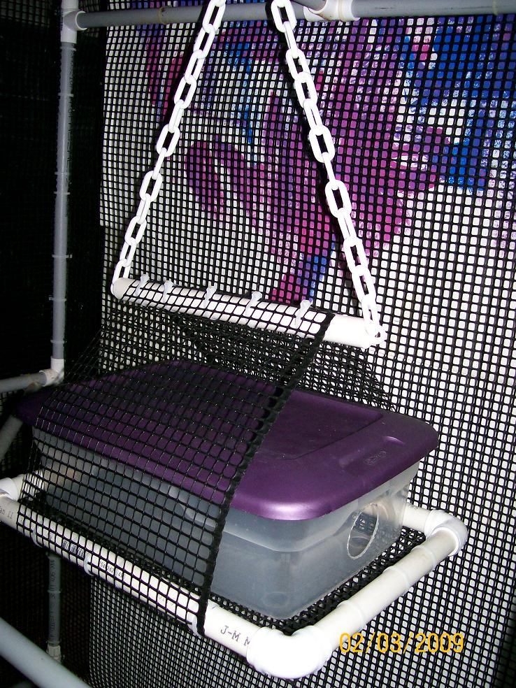 PVC Sugar Glider Kitchen